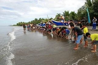 Pawikan Sanctuary