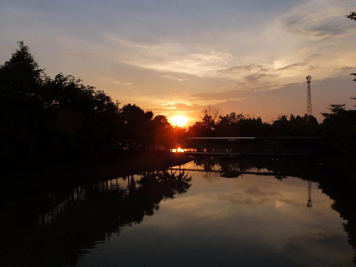 Dasada Gallery
