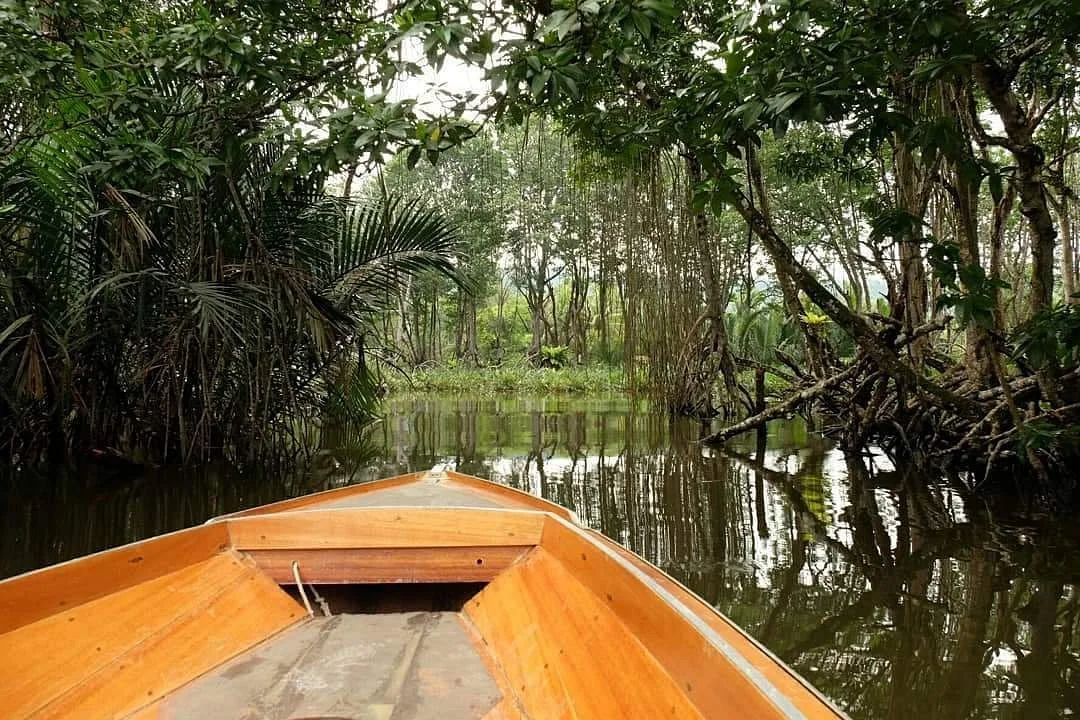 Pulau Selirong Forest Recreation Park