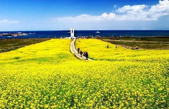 Sand Island of Qinghai Lake