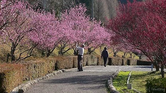 Hotarunosato, Motogi River Park