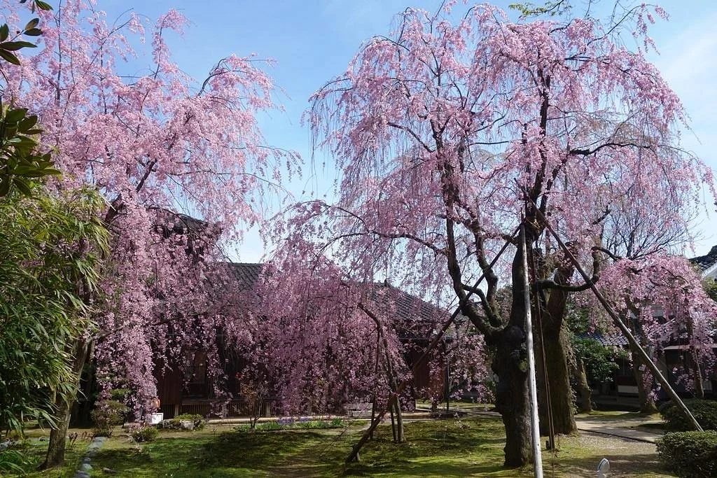 Former Uchiyama Residence