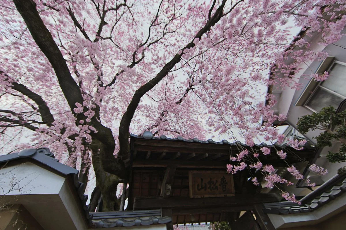 Seishozan Obai-in