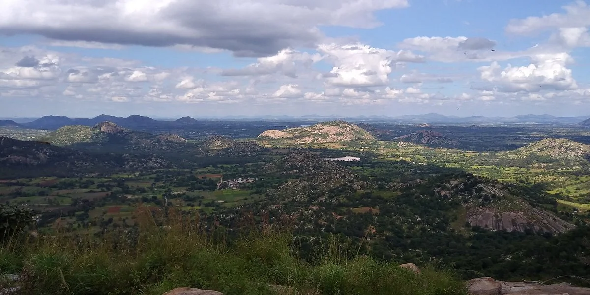 Avalabetta