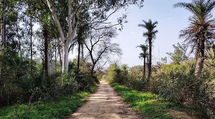 Sardulgarh Fort