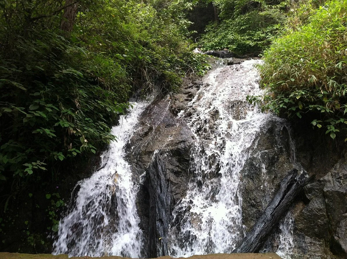 Silent Valley National Park
