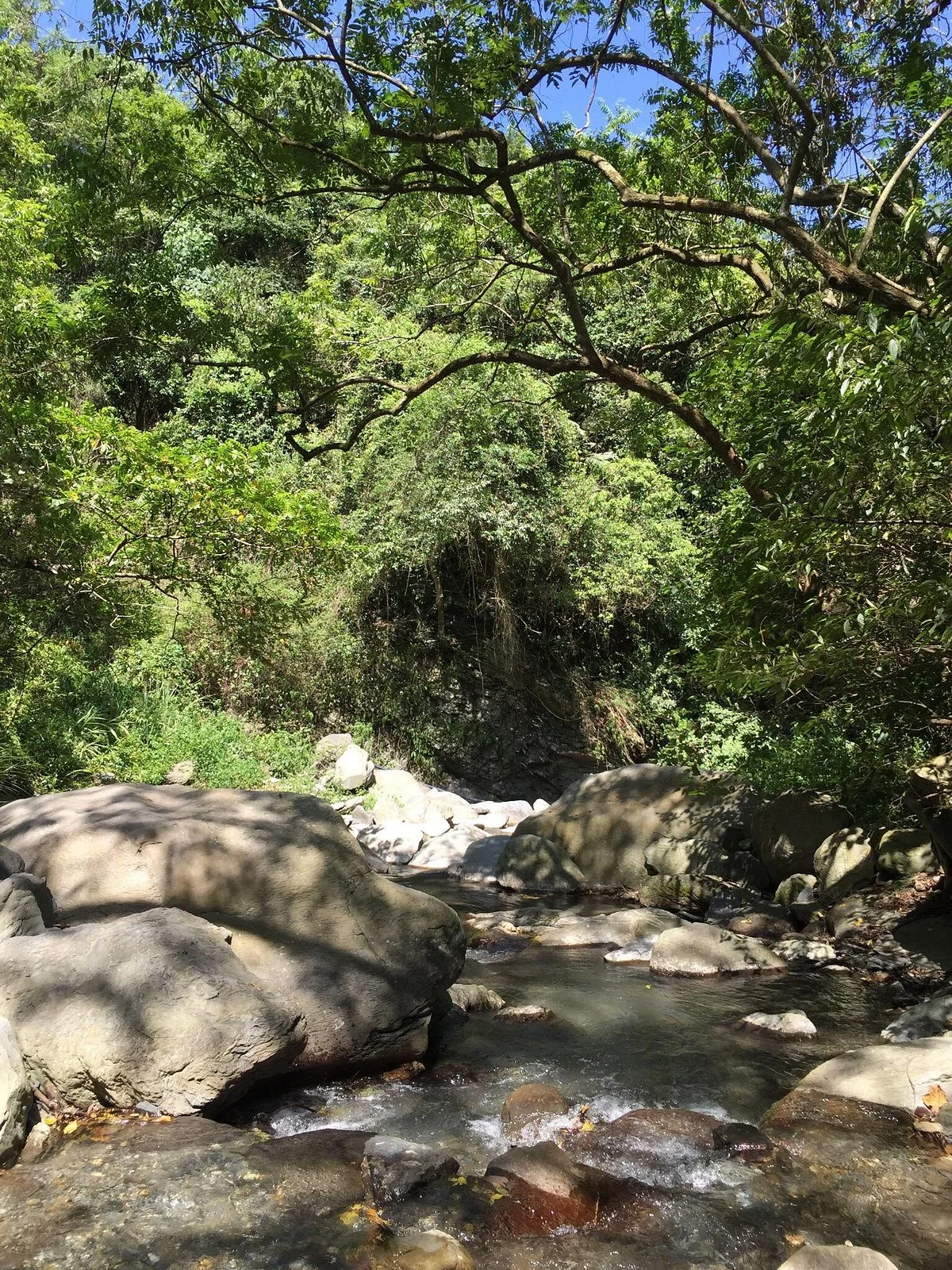 Taitung Yanping Butterfly Valley