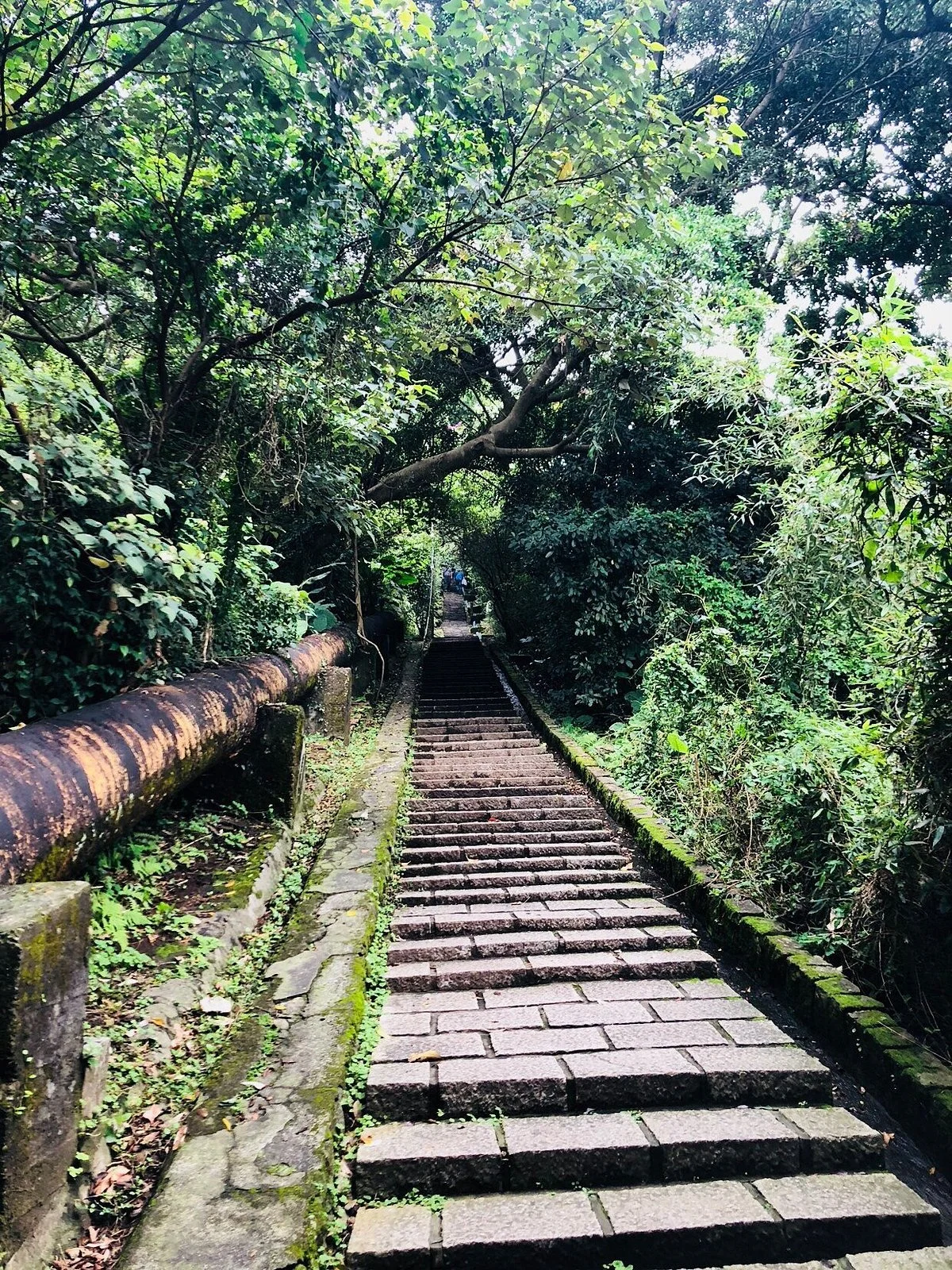 Tianmu Historic Trail