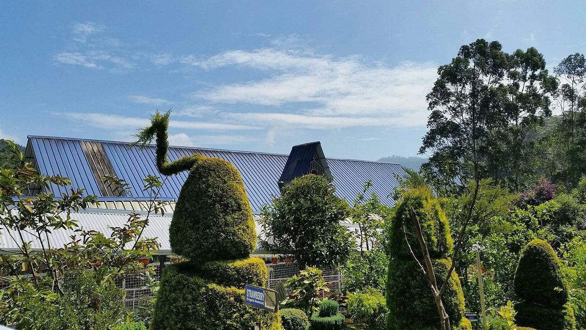 Carmelgiri Botanical Garden