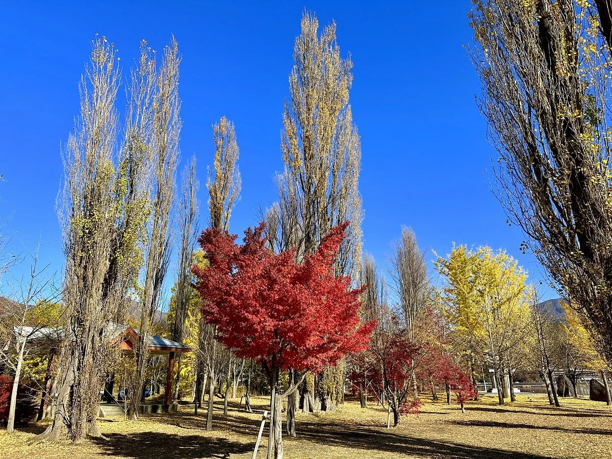 Oike Park