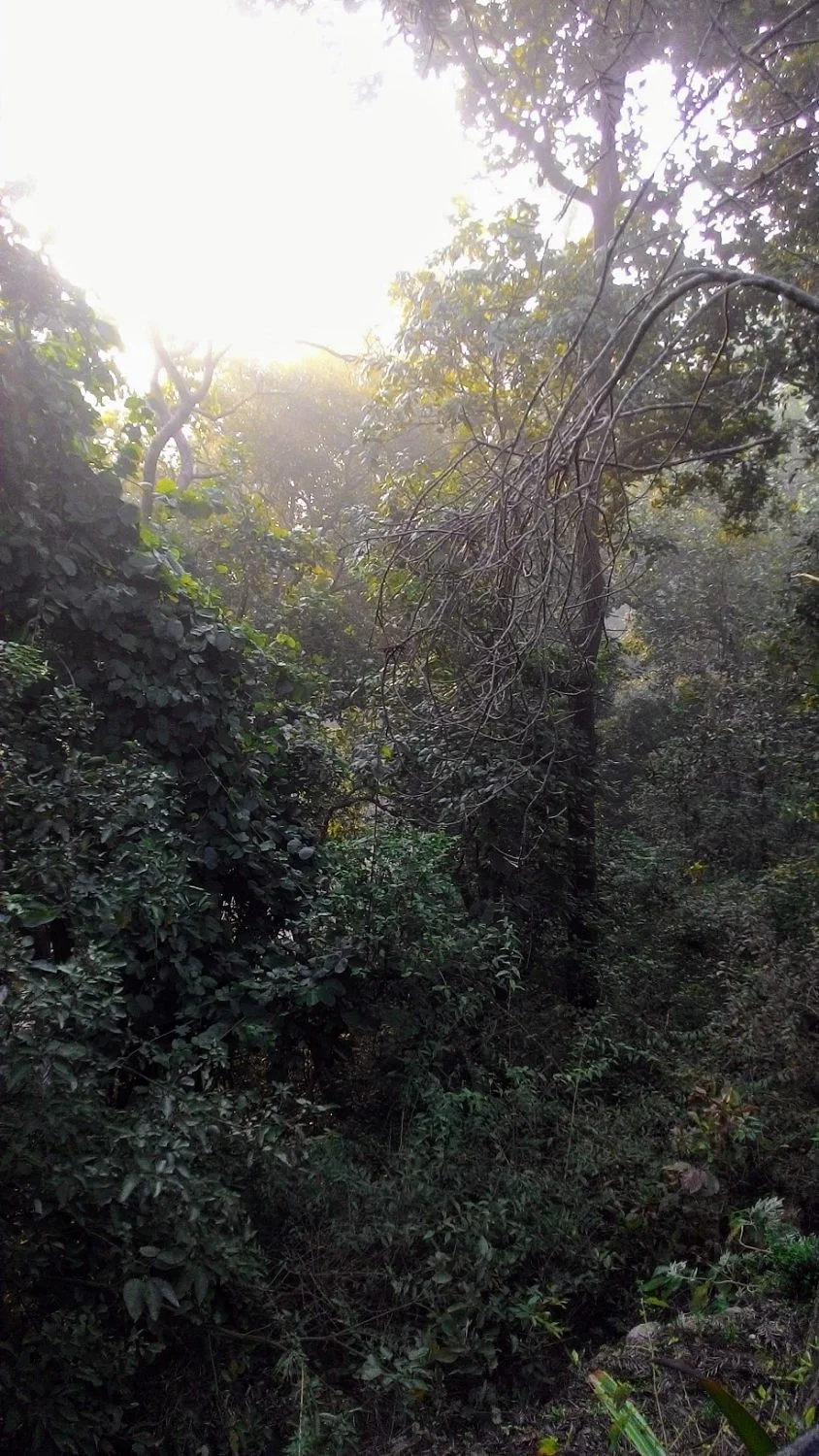 Simbalbara Wildlife Sanctuary