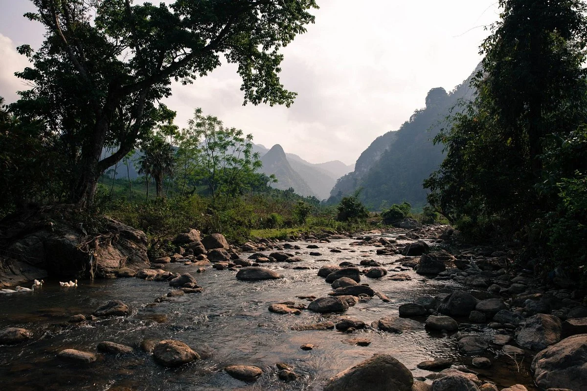 Xuan Son National Park