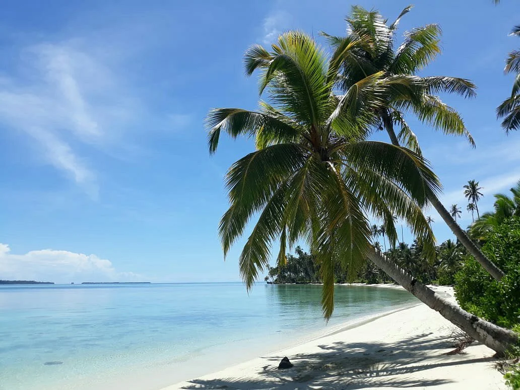 Pulau Asok