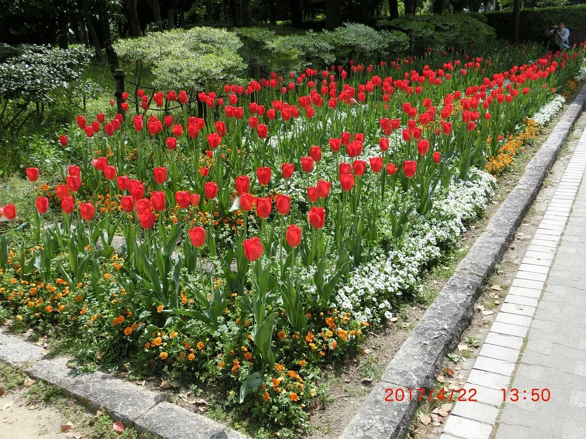 Kamisakabenishi Park