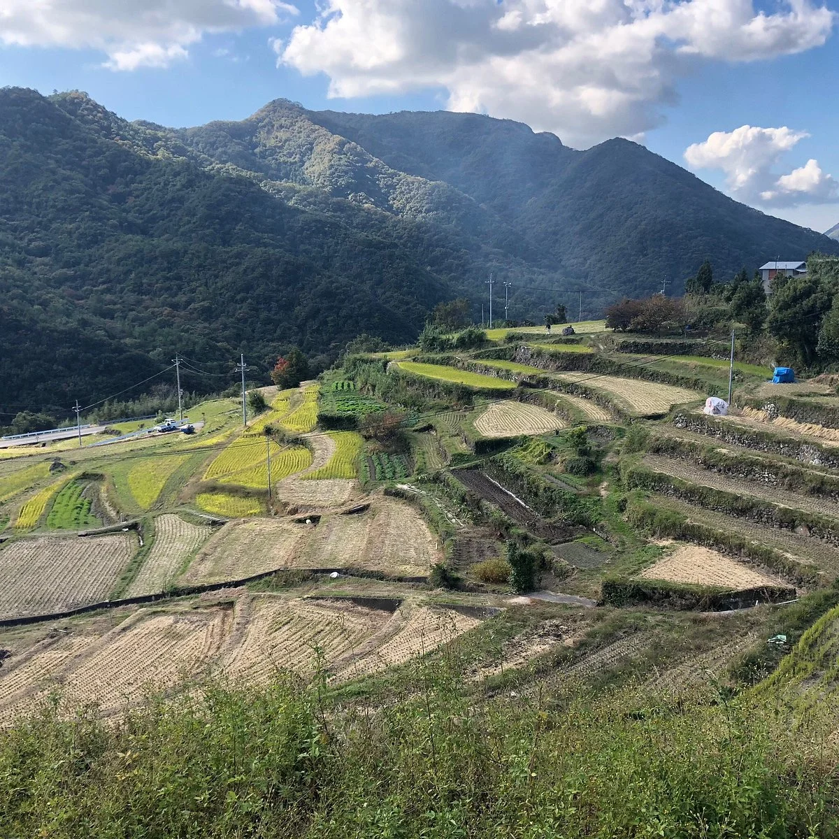 Nakayama Senmaida