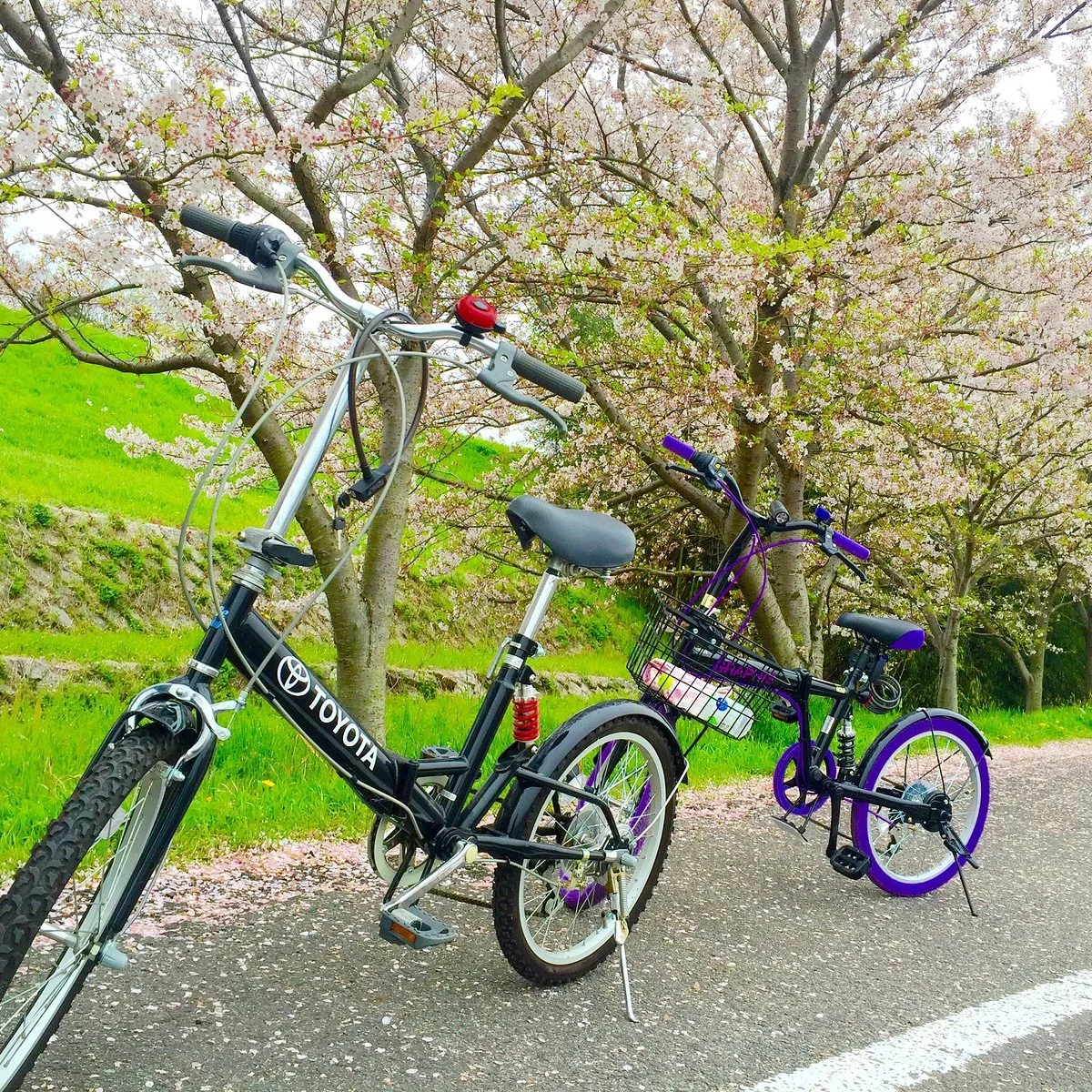 Yanagawase Park