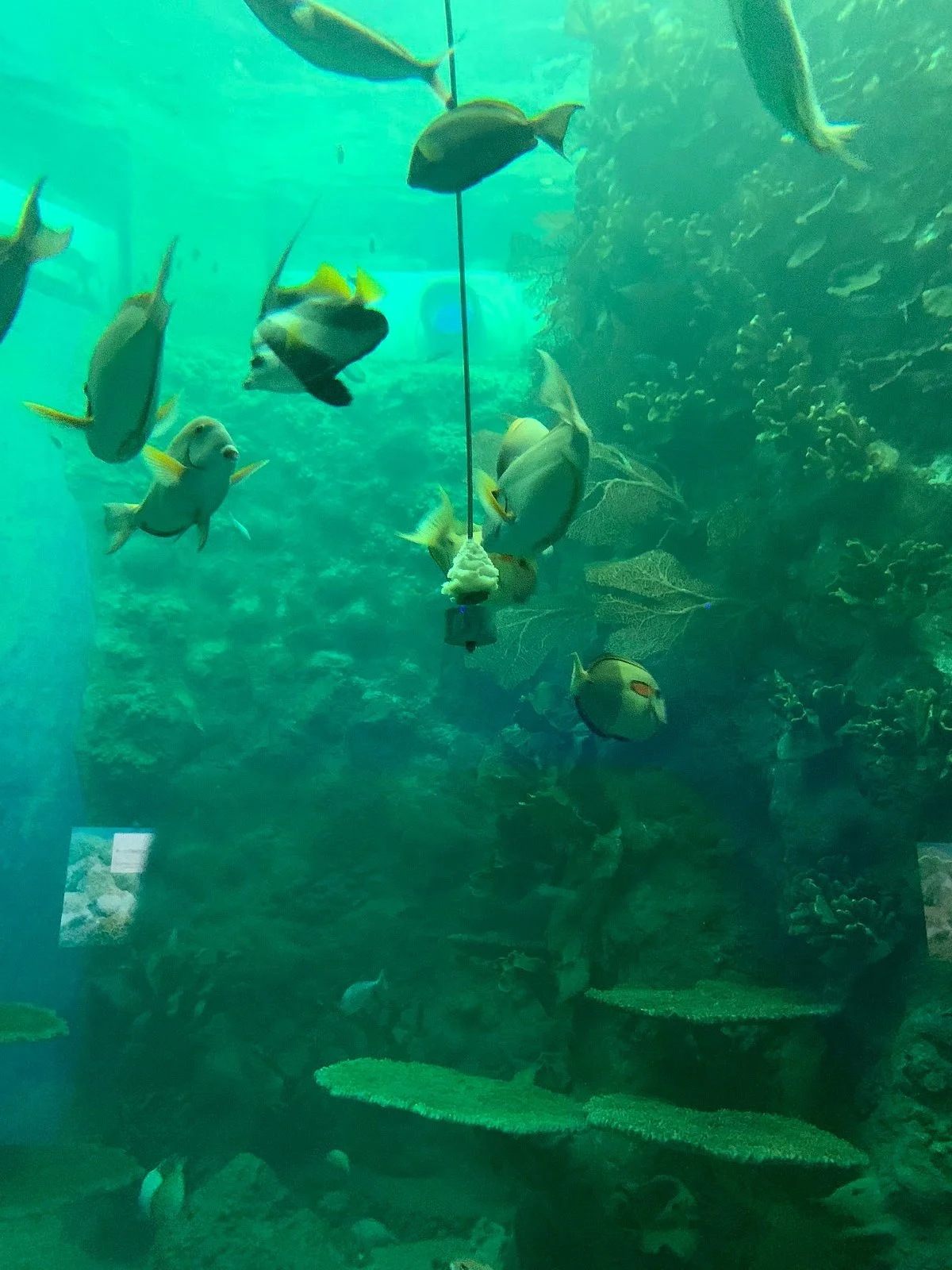 Penghu Aquarium