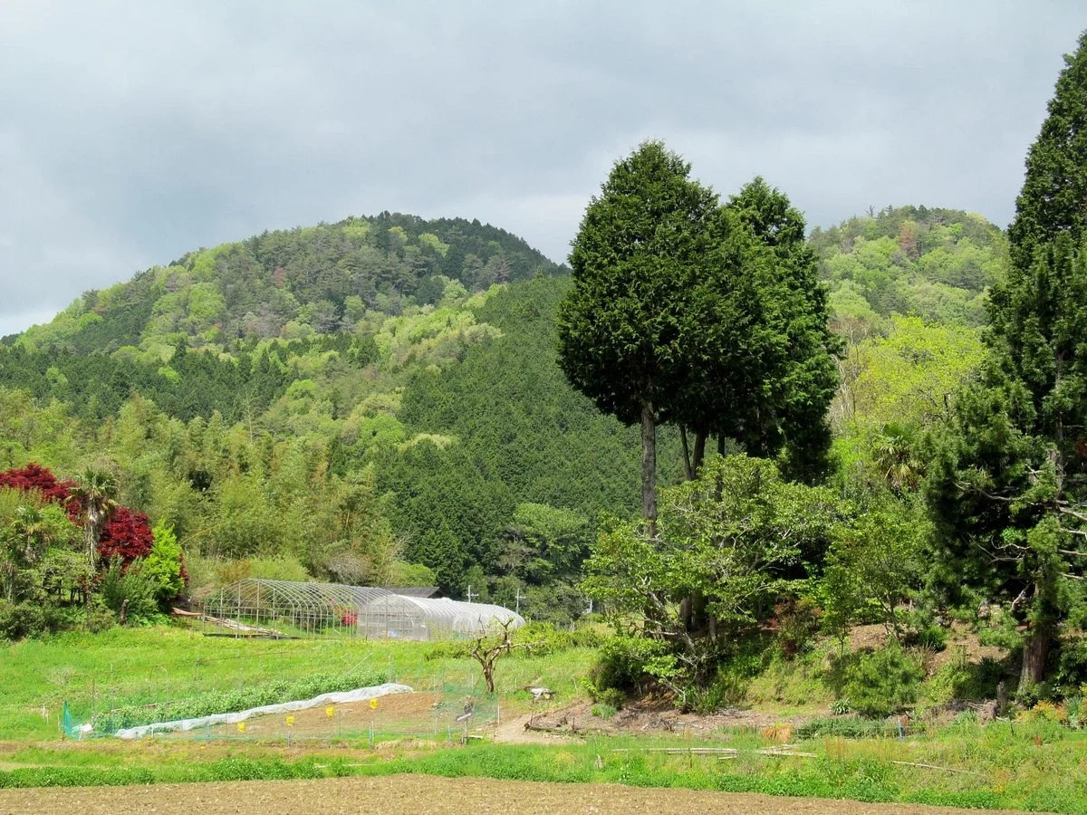 Hinnyo no Itto, Tomb of Oteru