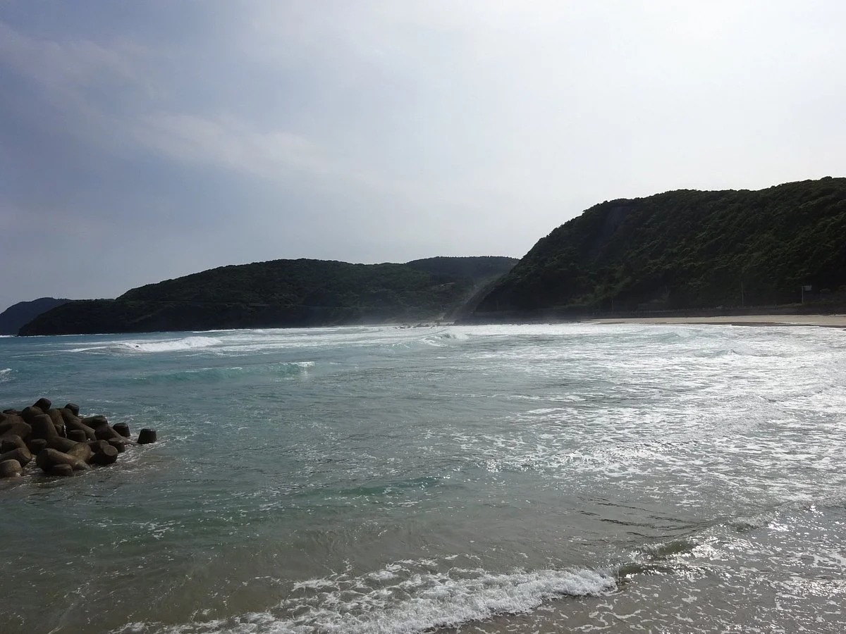 Koigaura