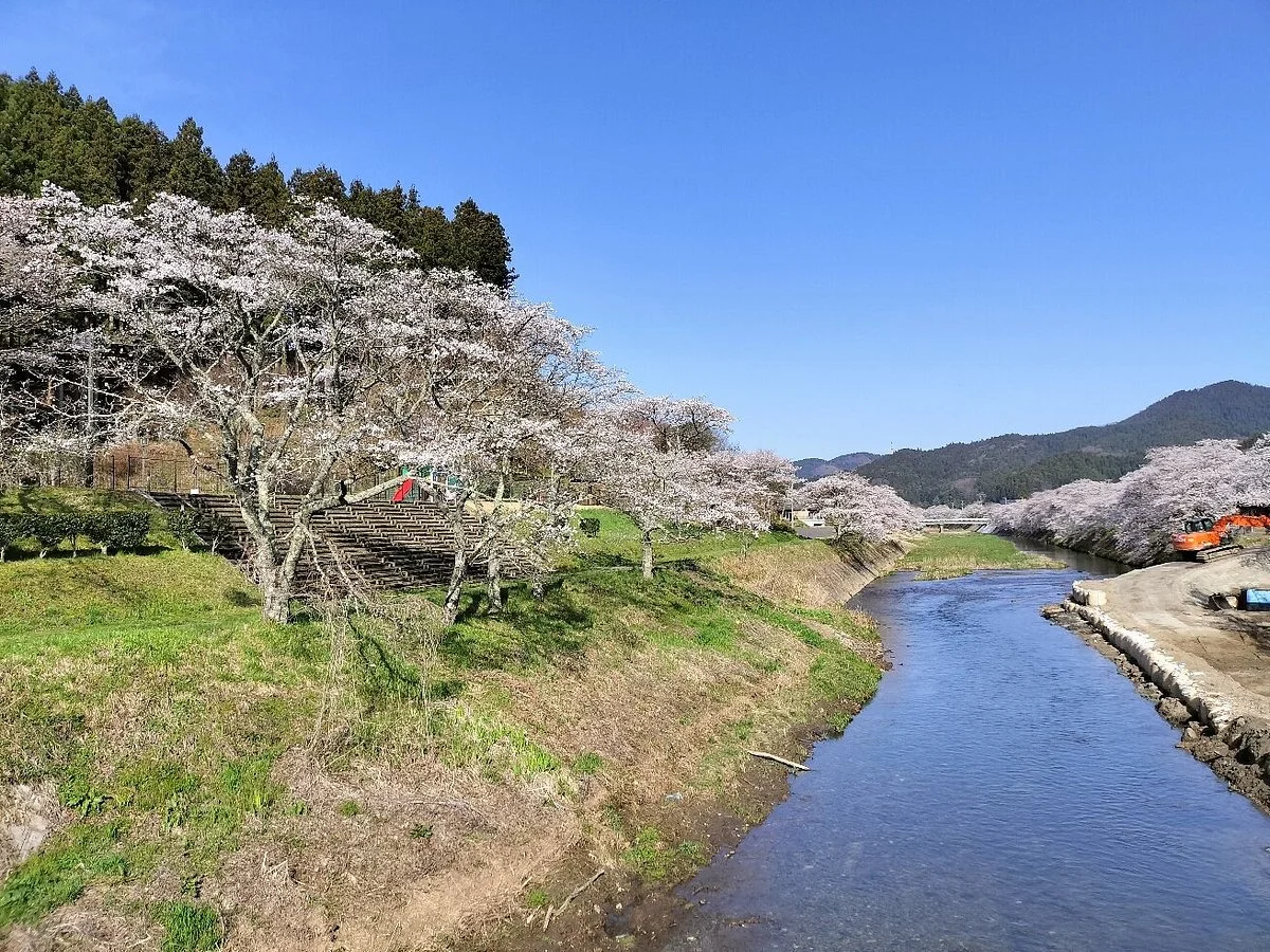 Furudono Sakura Road