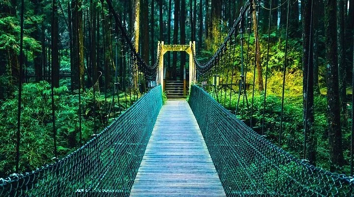 Rende Park