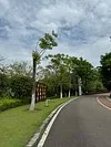 Yangtze River Forest Park of Dongxing