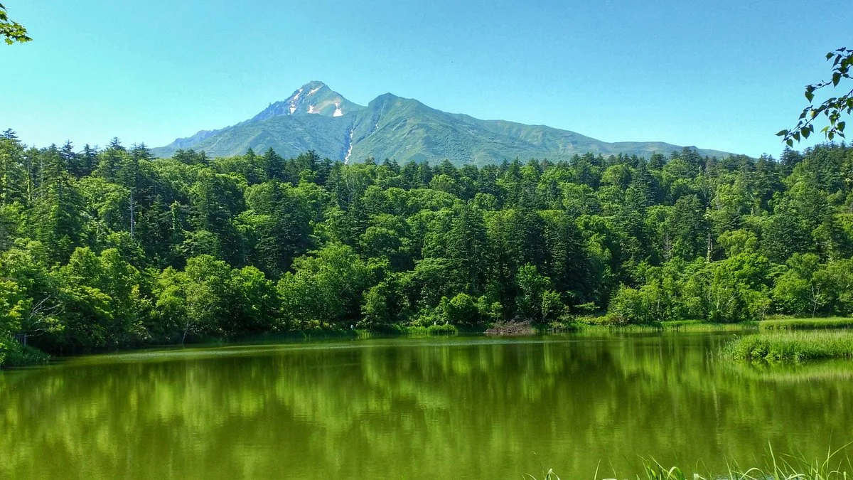 Himenuma