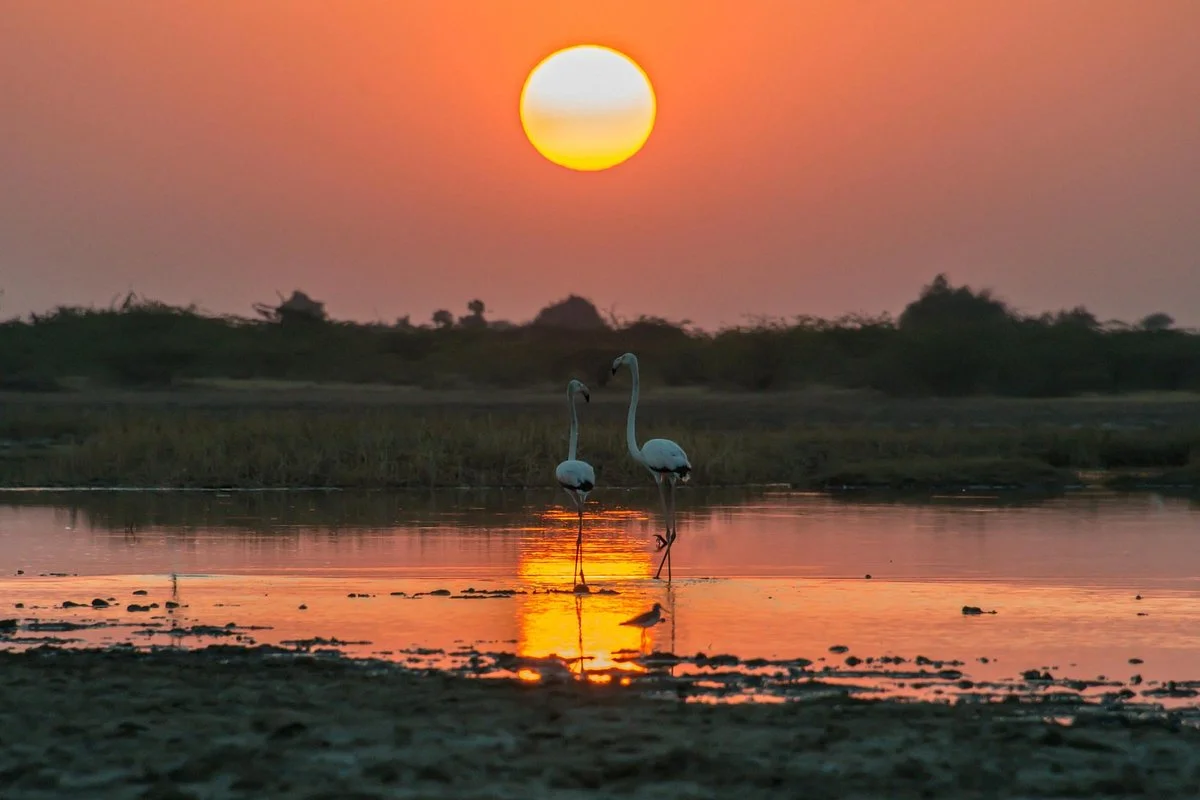 Little Rann of Kutch