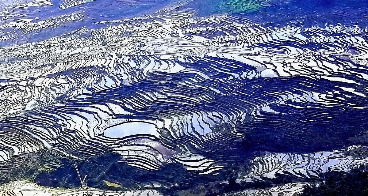 Honghe Hani Rice Terraces