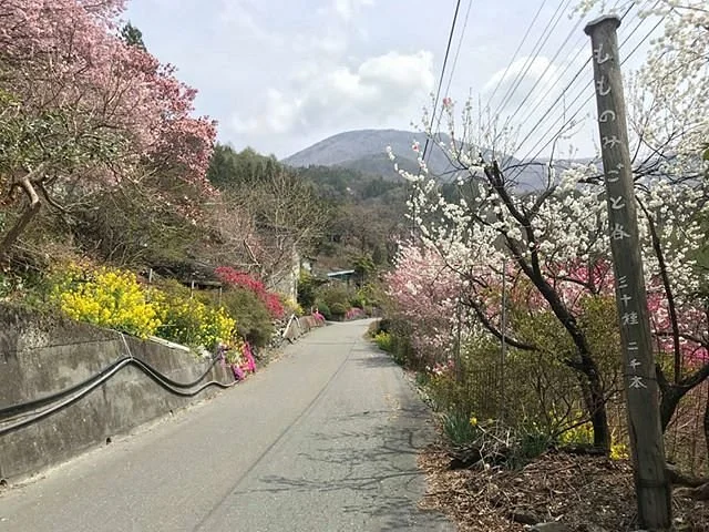 Oshikamura Tourism Association