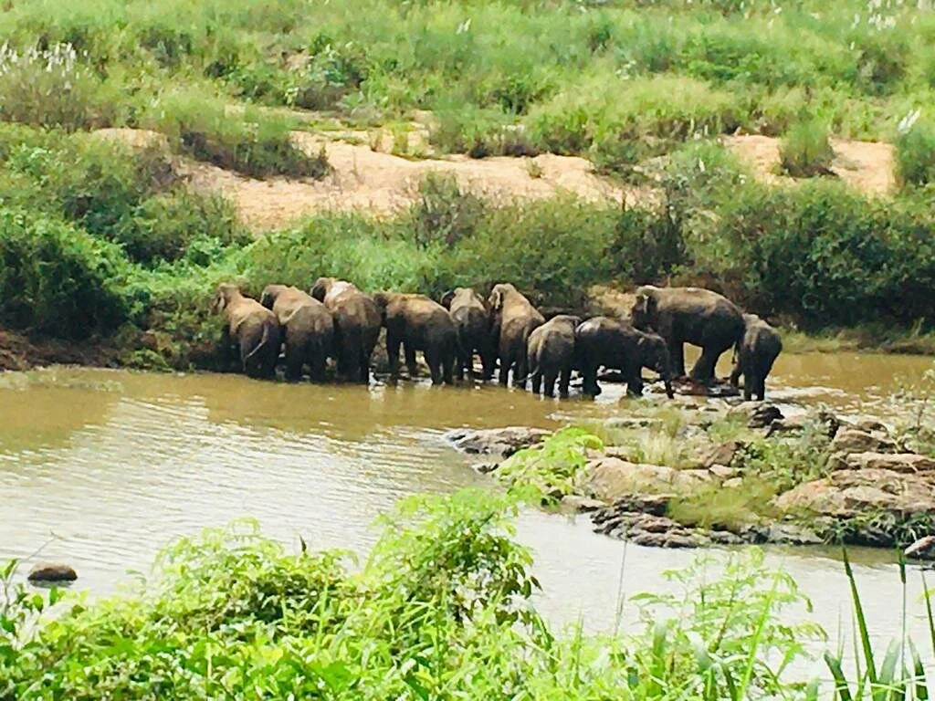 Mahaweli River