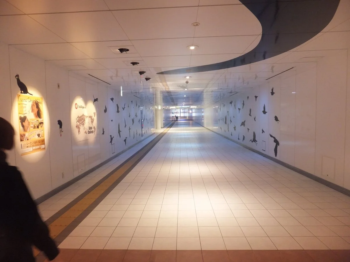 Lucent Avenue