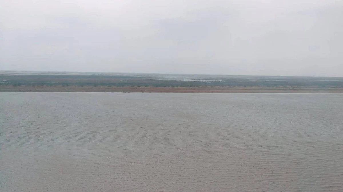 Yellow River Estuaries