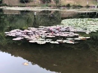 Meizhou Shen'guang Mountain