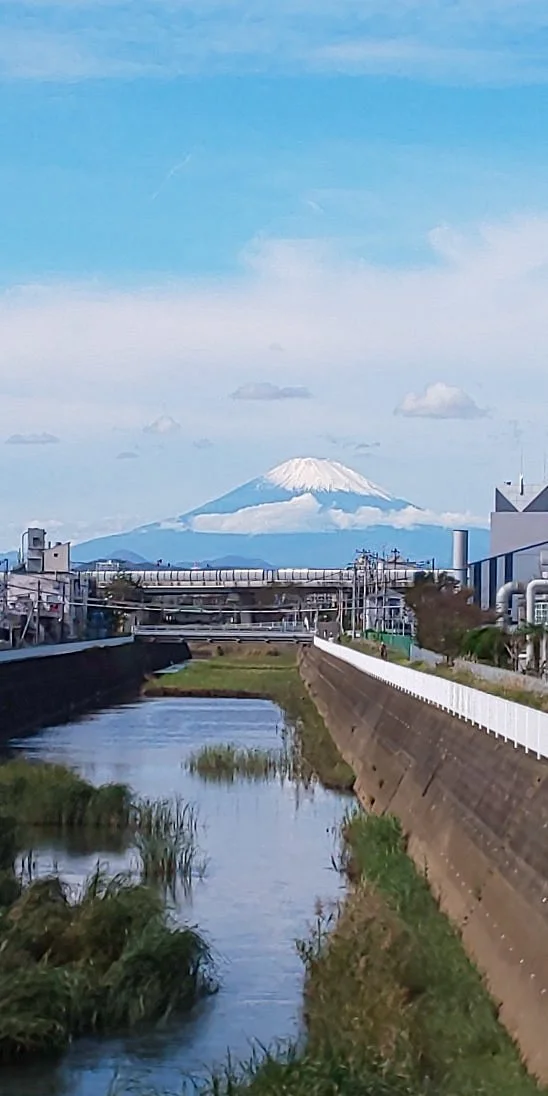 Nango no Hidarifuji Monument