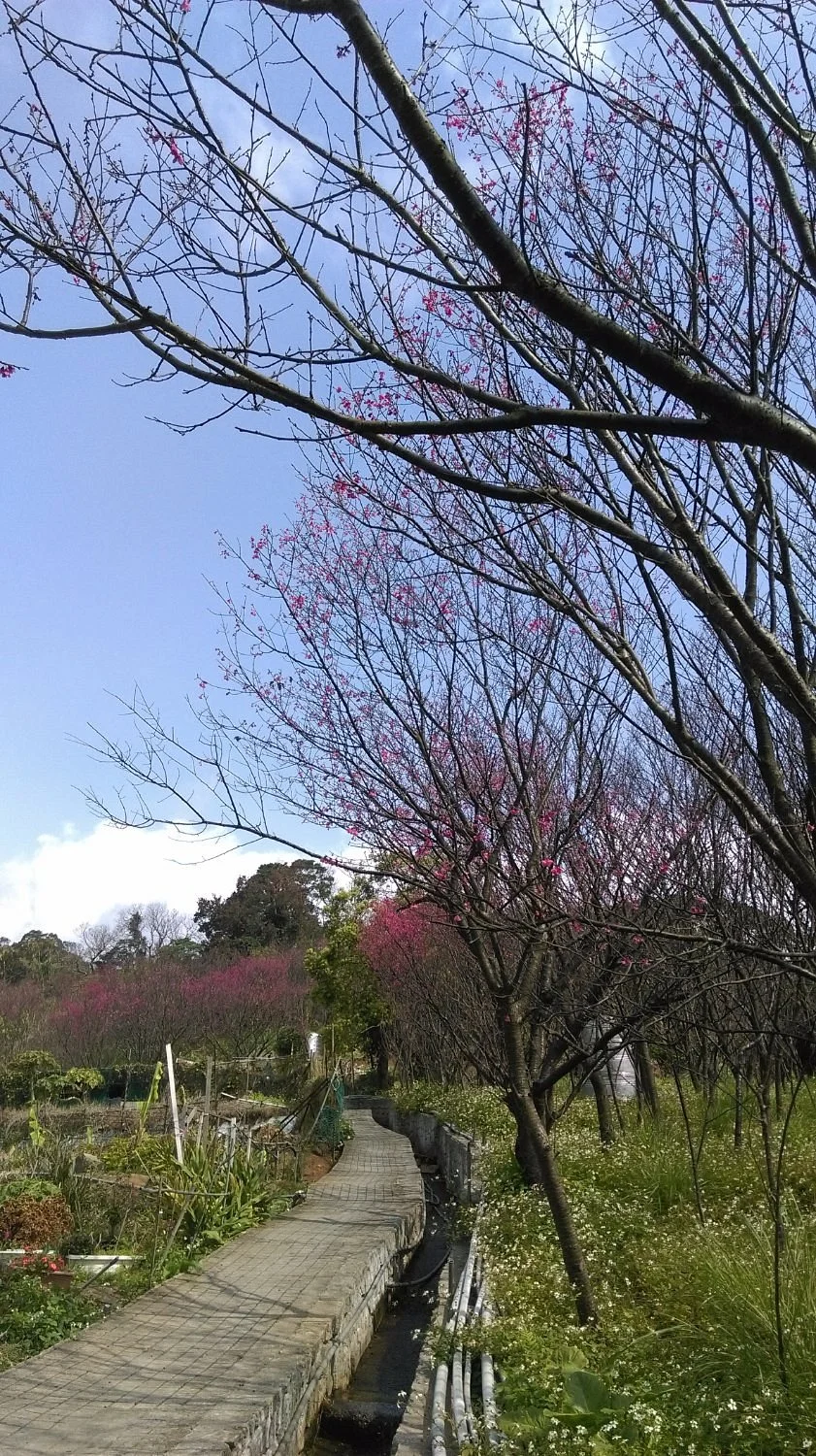 18 Fen Guai Zun Trail