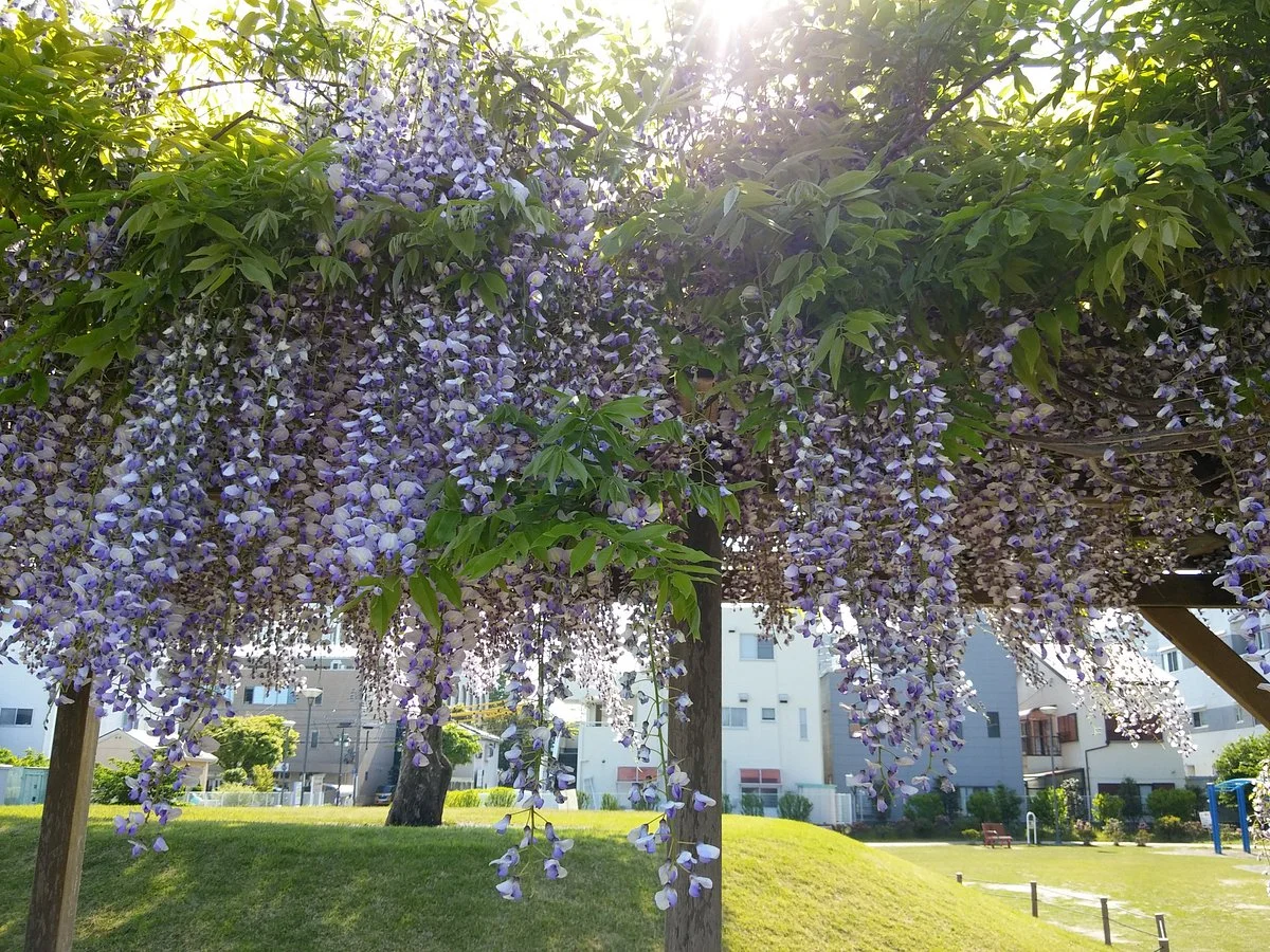Ekinan park