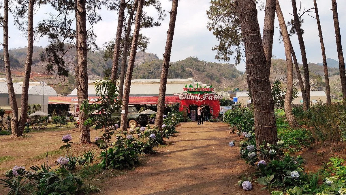 Chimi Farm