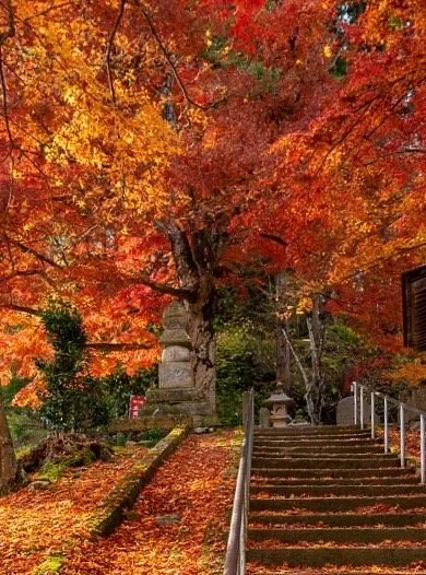 Kakufuzanchinzo-ji Temple