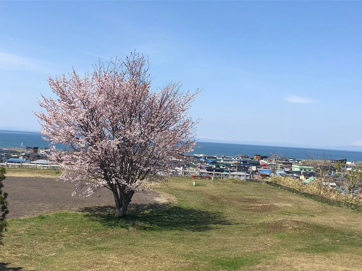 Hamanasu Daiba Park