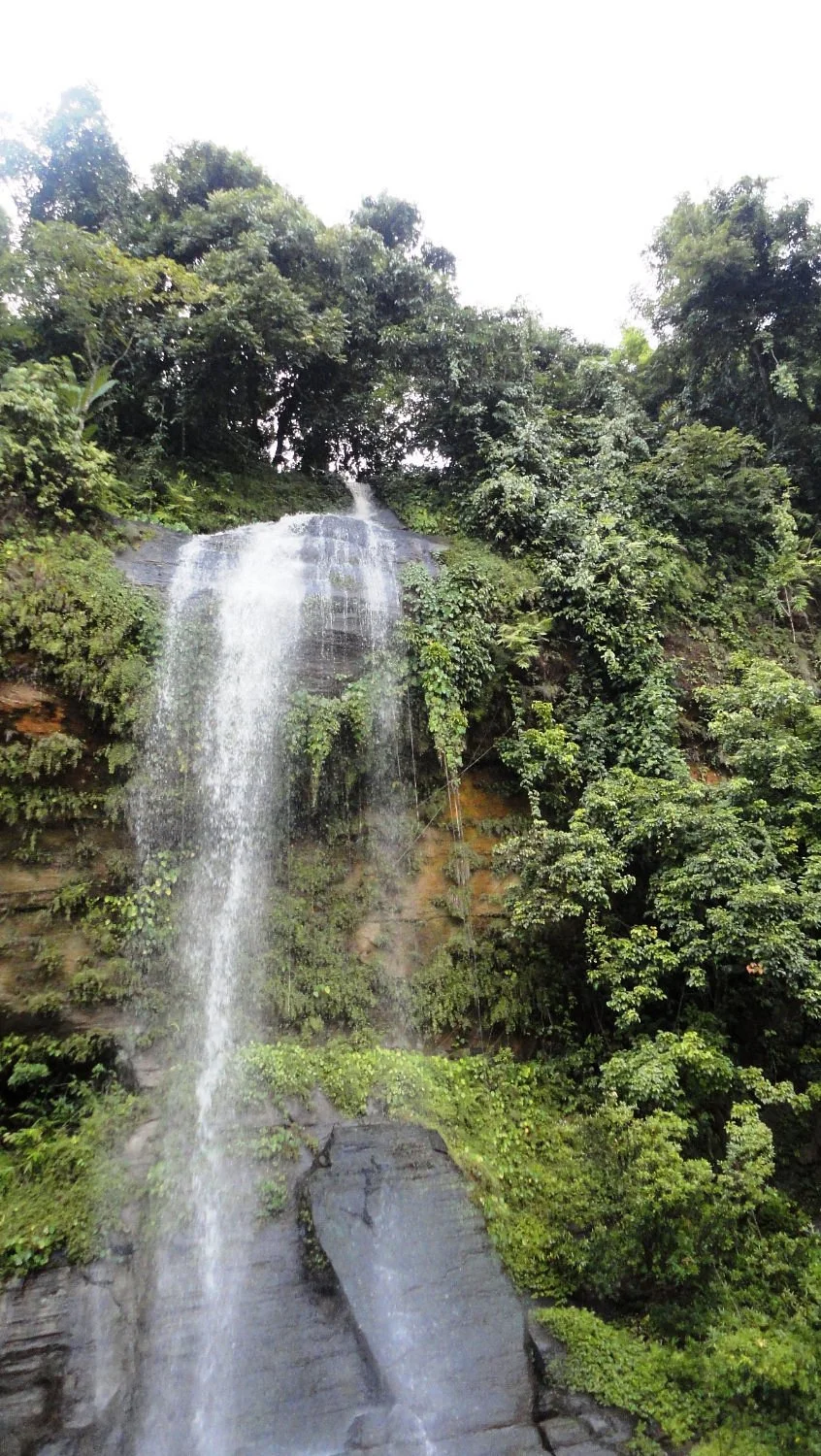Rijuk Jhorna