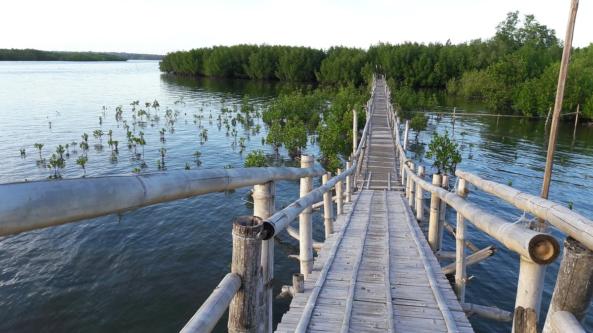 Mobod Fish Sanctuary