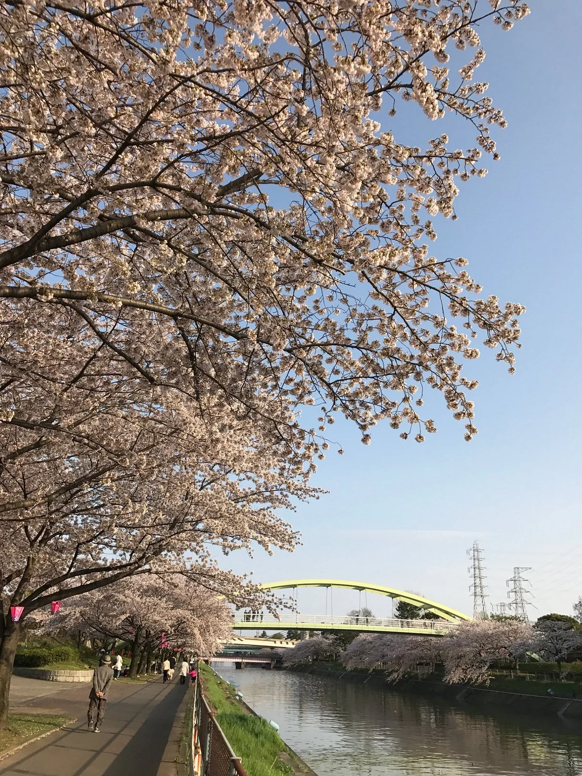 Arakogawa Park