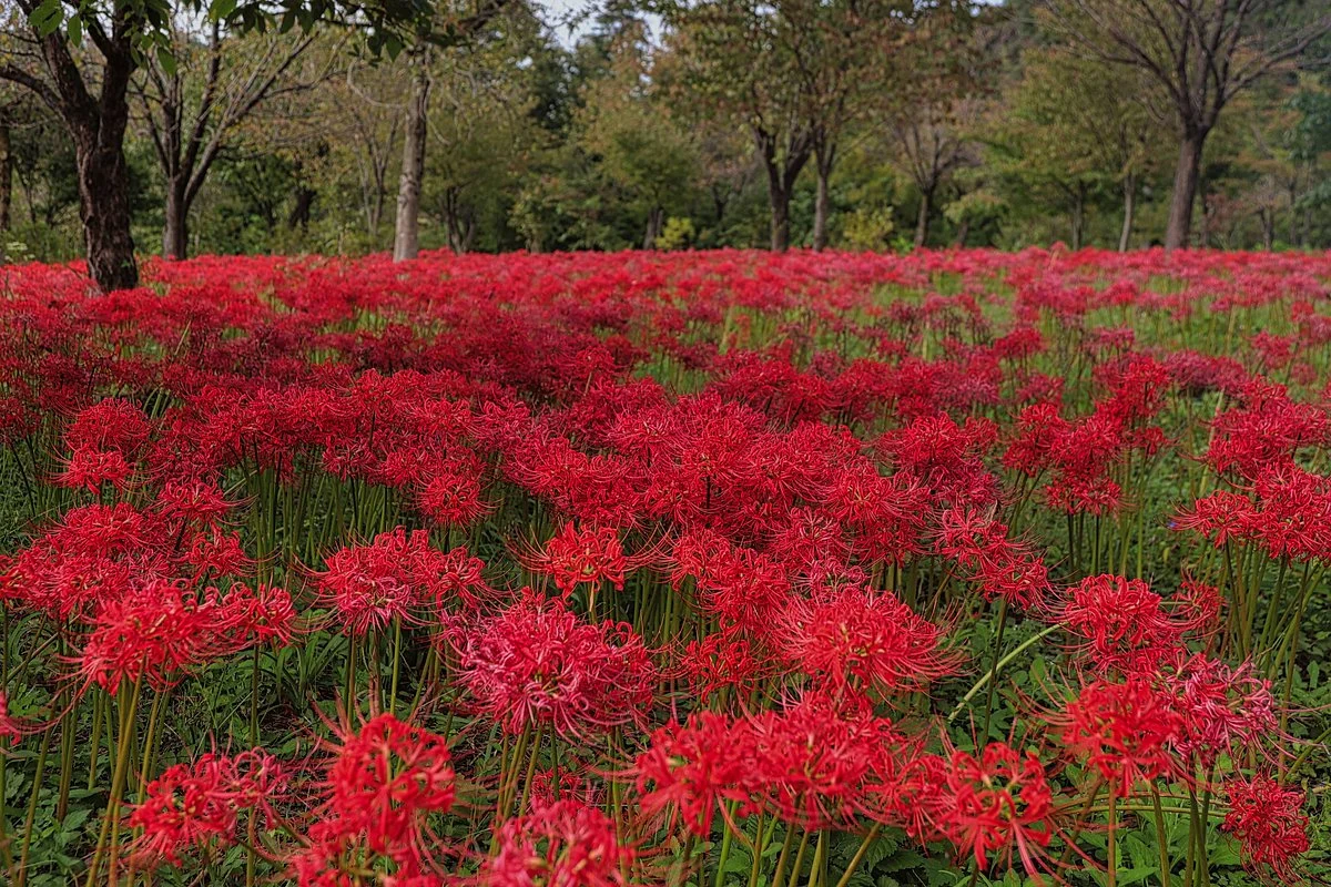 Yukiguni Garden Park