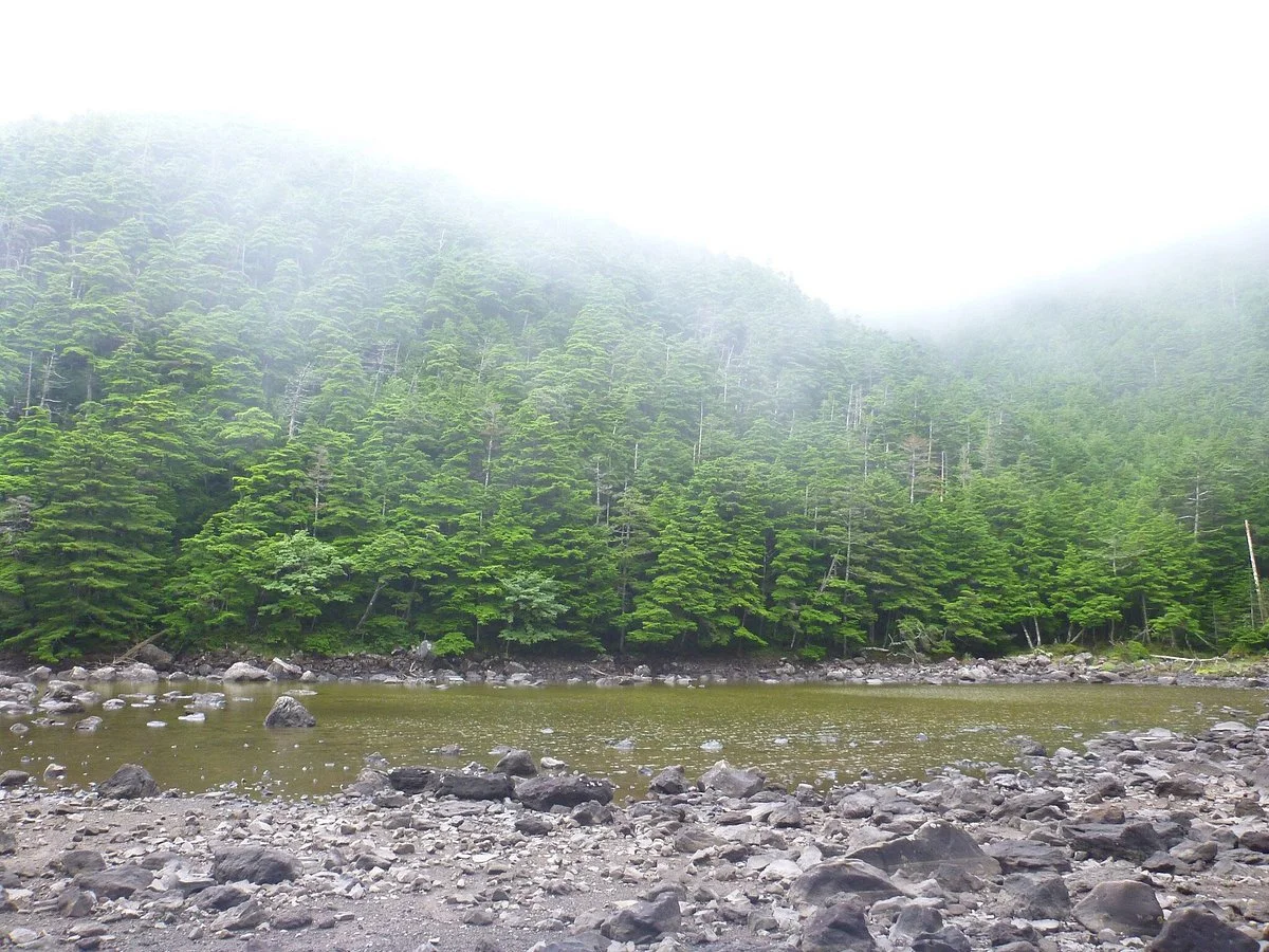 Kikko Pond