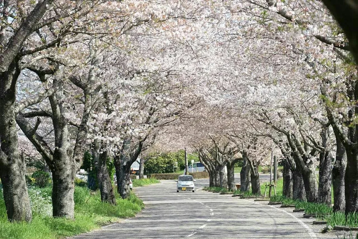 Tarumizu Park
