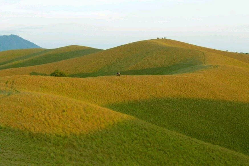 Taman Nasional Rawa Aopa Watumohai