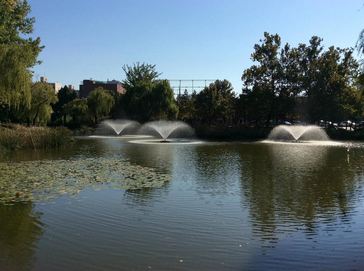 Yongsan Family Park