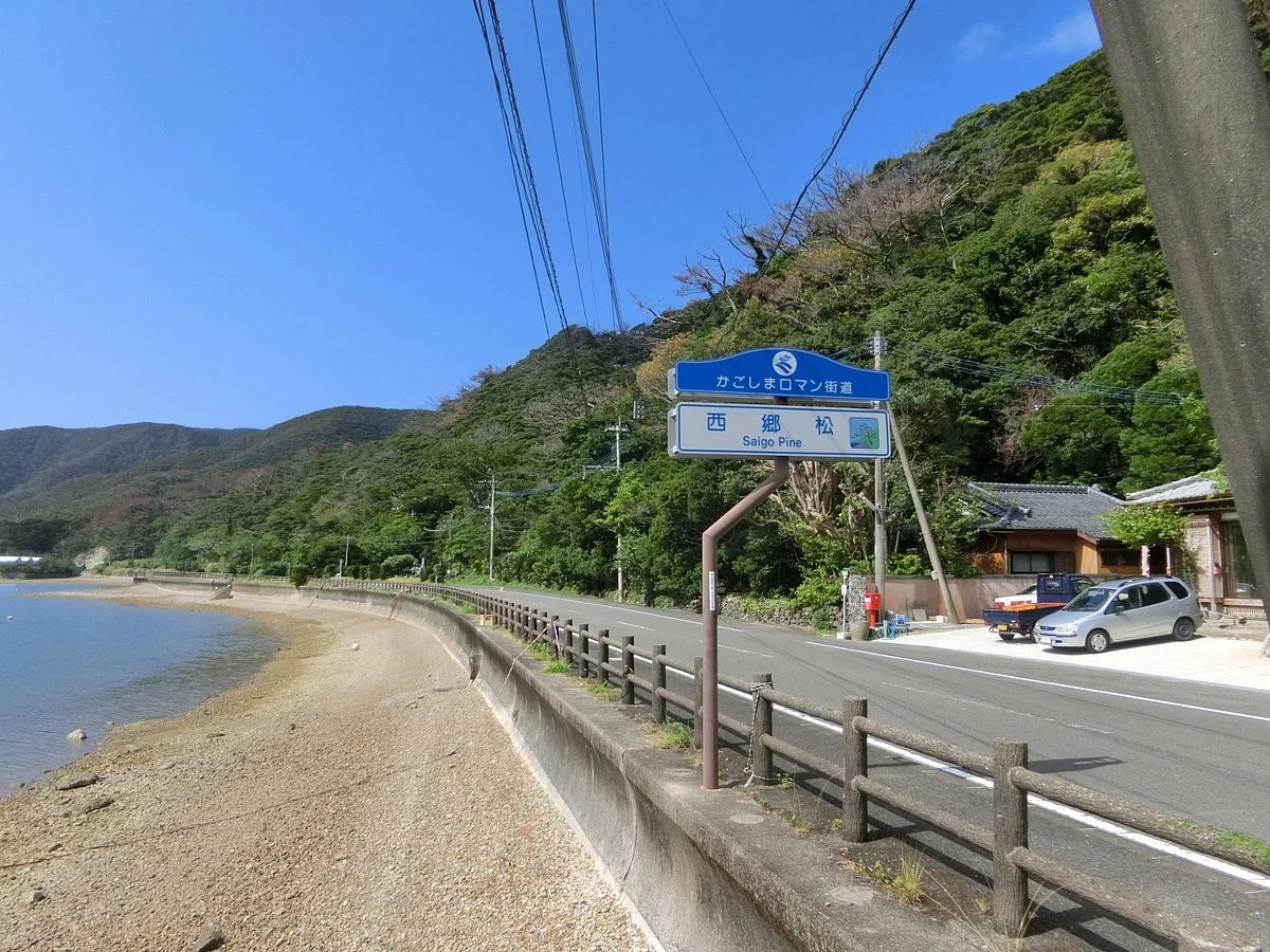 Saigomatsu
