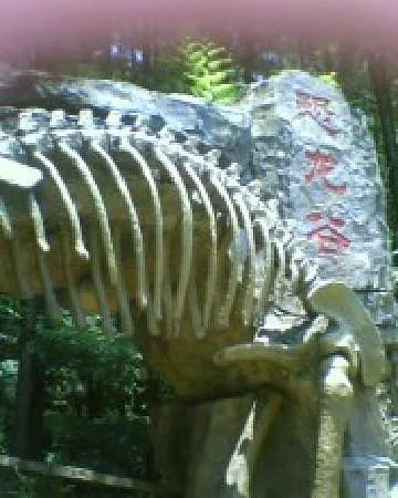 Qingyuan Senbola Wonderland